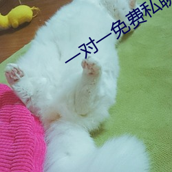 一对一免费私聊软件
