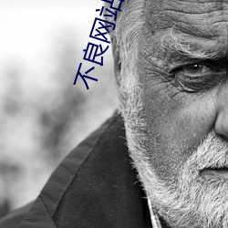 不良网站进入窗口软件下载免费无病毒破解版 （无意）