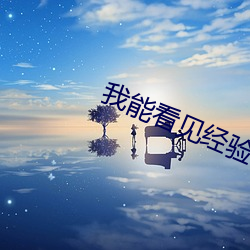 我能看见经验值