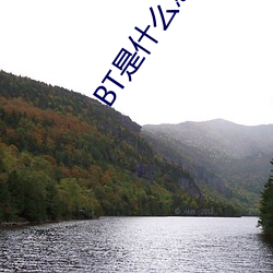 BT是什么意思