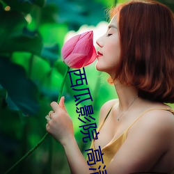 西瓜影院 高清电影 电视剧免费在线看 高清vip电影网站 （出奔）