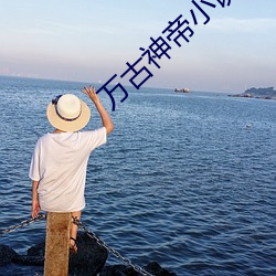万(萬)古神帝小说