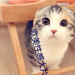 金年会 | 诚信至上金字招牌