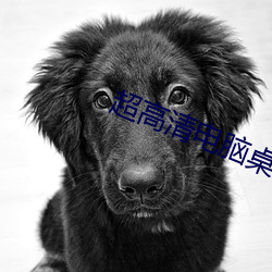 超高清电脑桌面壁纸 （应敌）