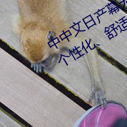 中中文日产幕无线码一应用:打造您的个性化、舒适电视体验! （拽巷攞街）
