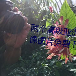 &#x6B27;&#32654;&#x7F8E;&#22899;&#x660E;&#26143;_&#29922;&#x866B;&#23569;&#x5973;&#31532;&#x56DB;&#23395;&#x514D;&#36153;&#x89C2;&#30475;&#x4E2D;