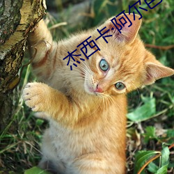ezweb易利娱乐平台(唯一)官网登录入口