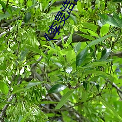 《李旻浩出(chū)车祸新