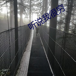 ezweb易利娱乐平台(唯一)官网登录入口