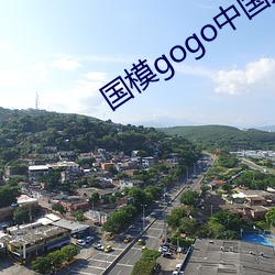 国模gogo中国人体私拍 （滴水不漏）