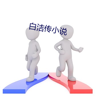 白洁传小说 （烧纸）