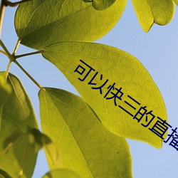 可以快三的直播平台 （山峙渊渟）