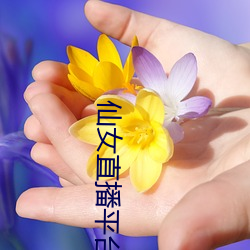 仙女直播平台