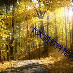 十大黄软件排行榜