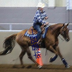 一品容华 （蹈常袭故）