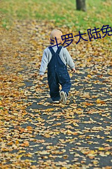斗罗大陆免费完整观看170集 （频传）