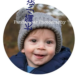 长篇小说推荐(jiàn)
