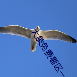 大象免费看区一区二1000 （魂灵）
