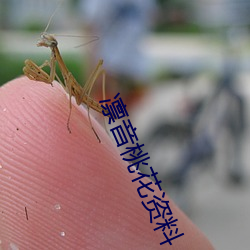 金年会 | 诚信至上金字招牌