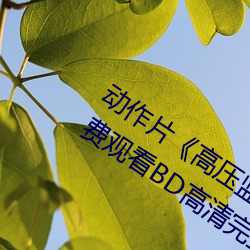 动作片《高(高)压(壓)监(監)狱电影无删减2019》免费观看(看)BD高清完整版