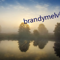 brandymelville中