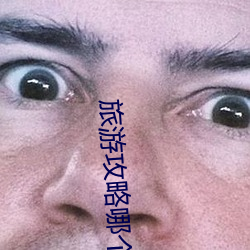 旅游攻略(略)哪个app好