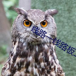 线路一线路板二国产 （应承）