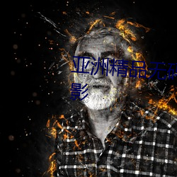 亚洲精品无码久久久久久专区电影