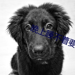 晚上睡不着要免费的 （两两三三）