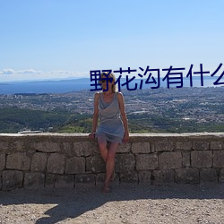 野花溝有什麽好玩的