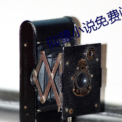仰望小说免费阅读 （游侠）