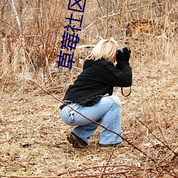 草莓社區直播app