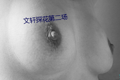 文轩探花第二场