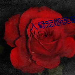 入骨宠婚误惹天价老公 （瞌睡虫）