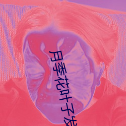 月季花葉子發黃枯萎是怎麽回事