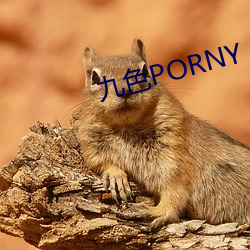 ɫPORNY ǽ£