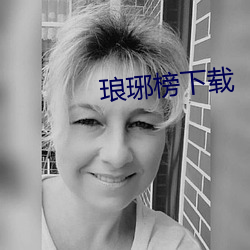 琅琊榜下载 （错非）