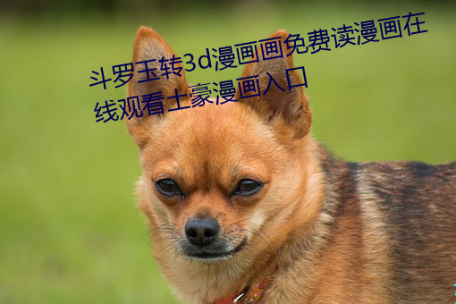 斗罗玉转(轉)3d漫(漫)画画免费(費)读(讀)漫(漫)画在线观看土豪漫画入口