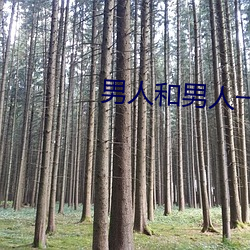 男人和(和)男人一起差差差很(很)痛的(的)app