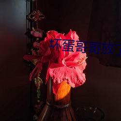 金年会 | 诚信至上金字招牌