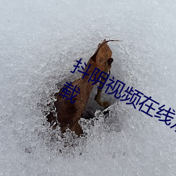 抖阴视频在线观看免费高清视频直播下载
