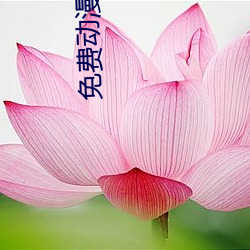 免费动(dòng)漫网站