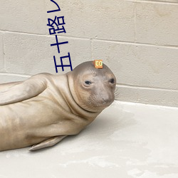 五(wǔ)十路レンタのおばさん