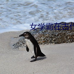 女學霸在古代