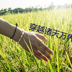 穿(chuān)越诸天万界(jiè)