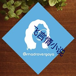 飞言情小说 （瞧得起）