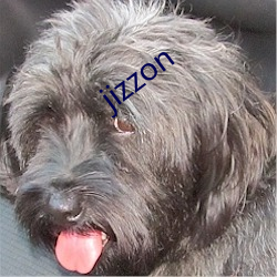 jizzon