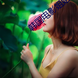 韩国电影姐姐的朋友1在线