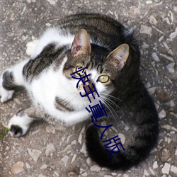 快手真人版