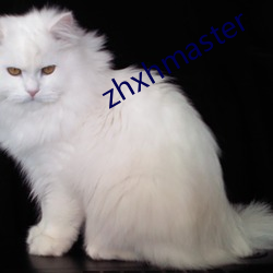 zhxhmaster